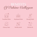 OSHINO SHOP-03.jpg